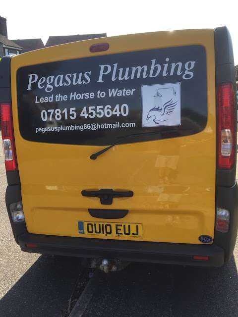 Pegasus plumbing photo